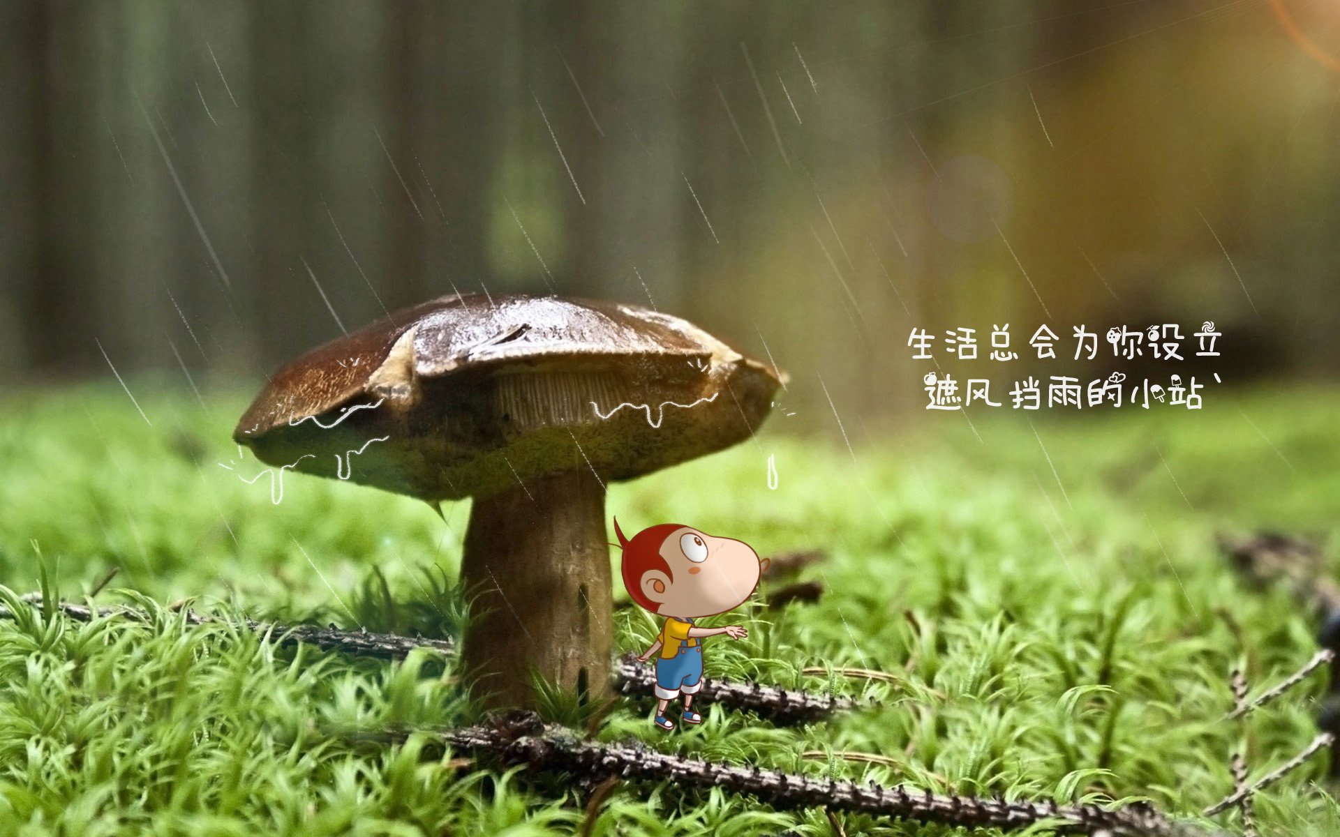_未来体育科技展:揭秘运动智能装备的未来_,智能体育产品
