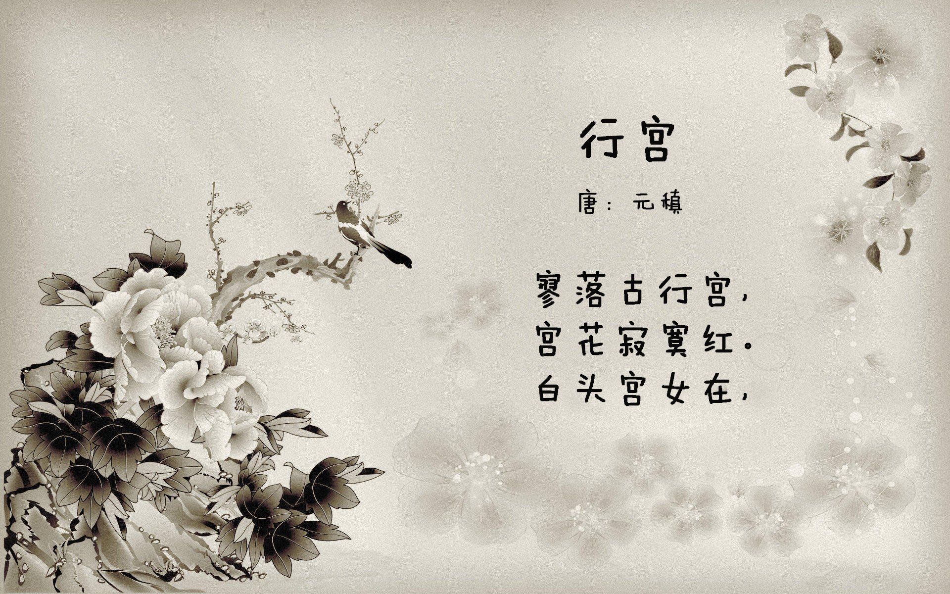 “中超豪门引入青训合作,培养梯队人才”,中超青训大户