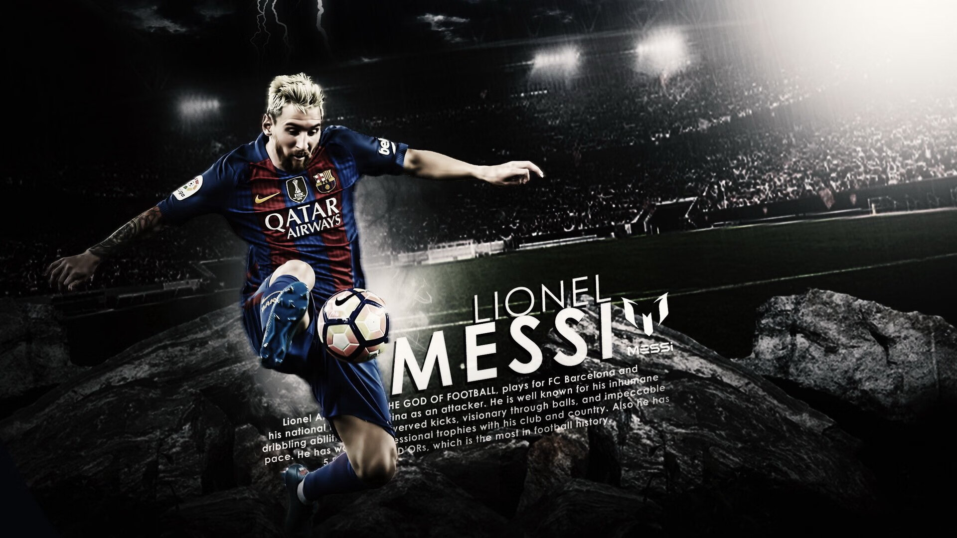 南非羚羊队:每一次反击都令人惊叹,速度与力量的完美结合,非洲羚羊种类大全